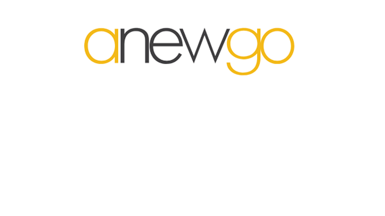 anewgo logo 